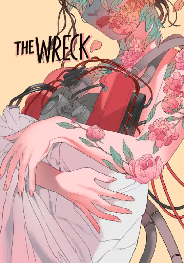 

The Wreck