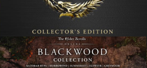 

The Elder Scrolls Online: Blackwood Collection Collector's Edition (Bethesda) (Pre-Order)